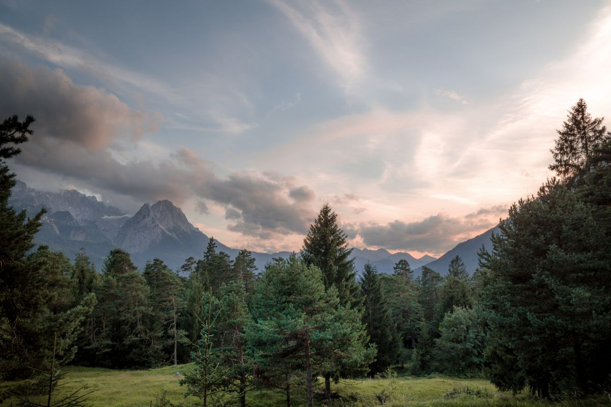 Das Erfolgsrezept vom Freudenberg